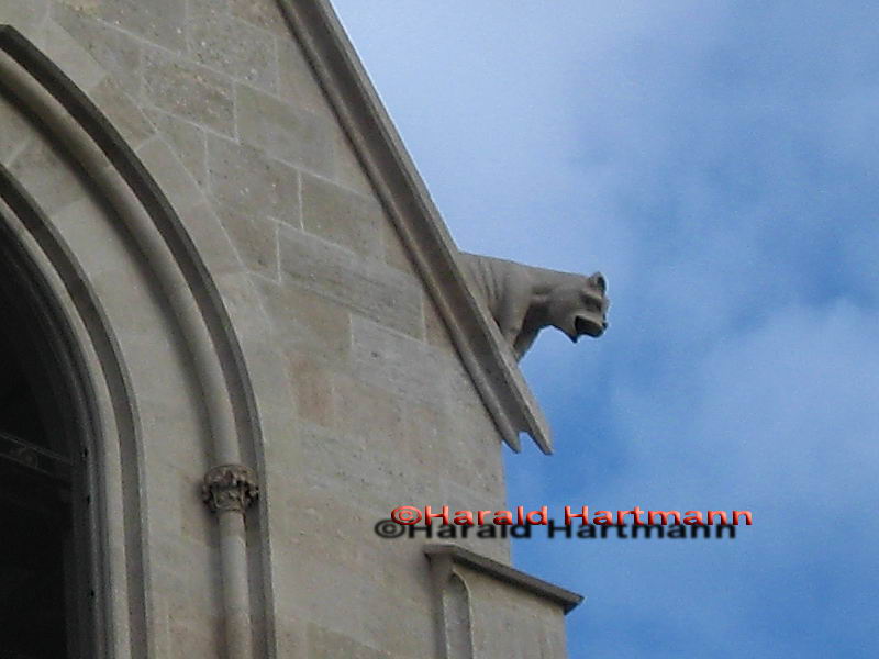 Wasserspeier Dom Wiener Neustadt 2/2