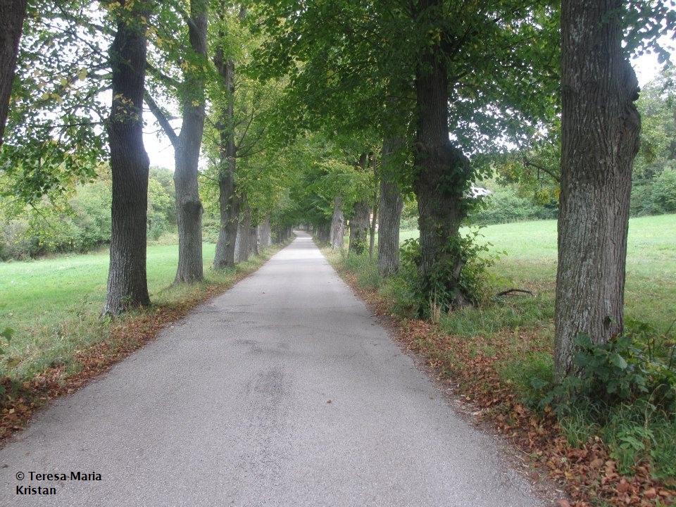 Weg zum Friedhof Heiligenkreuz