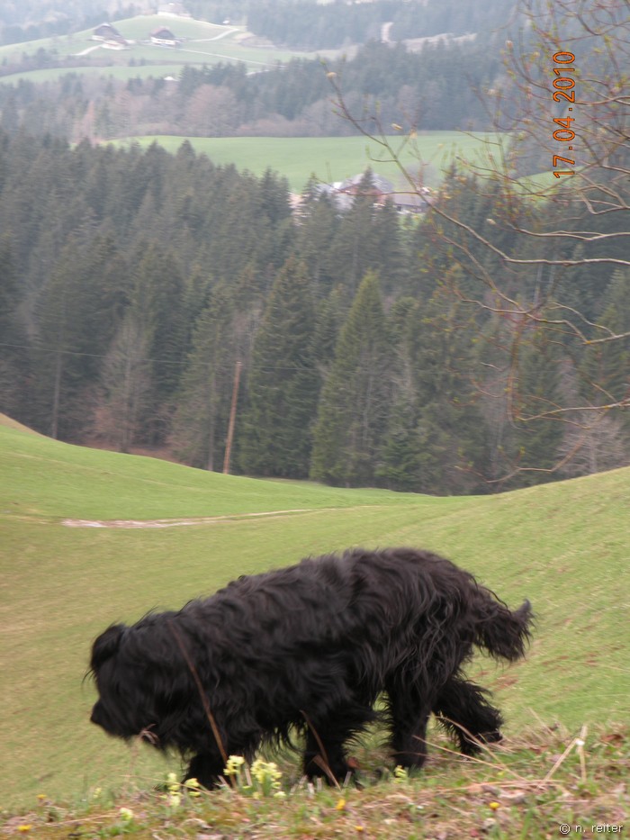 weg zur postalm