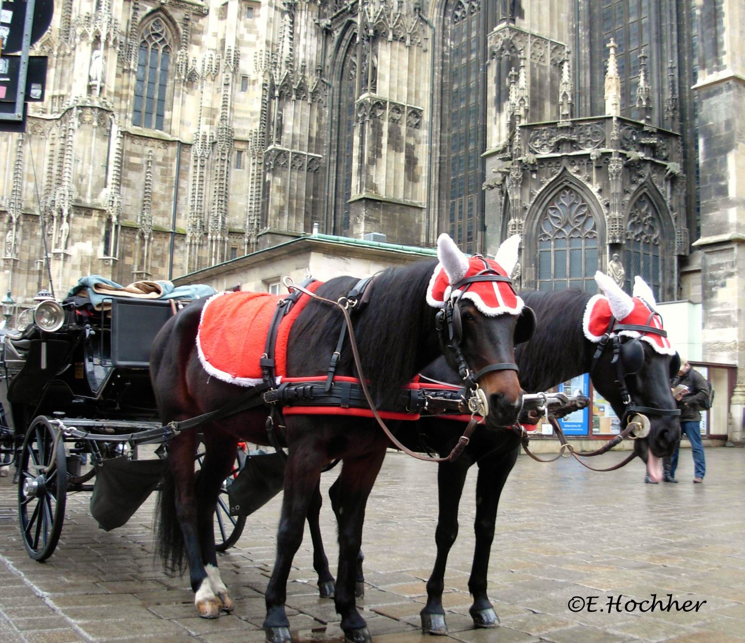 Weihnachtspferde