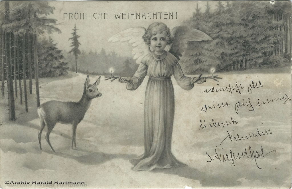 Weihnachtswald