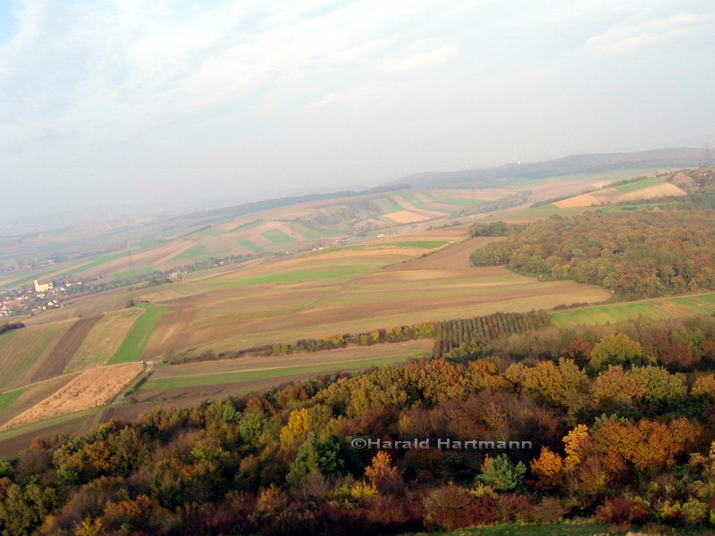 Weinviertel im Herbst