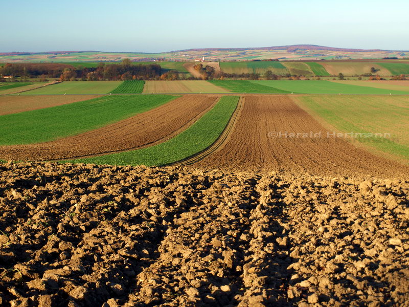 Weinviertler Herbst