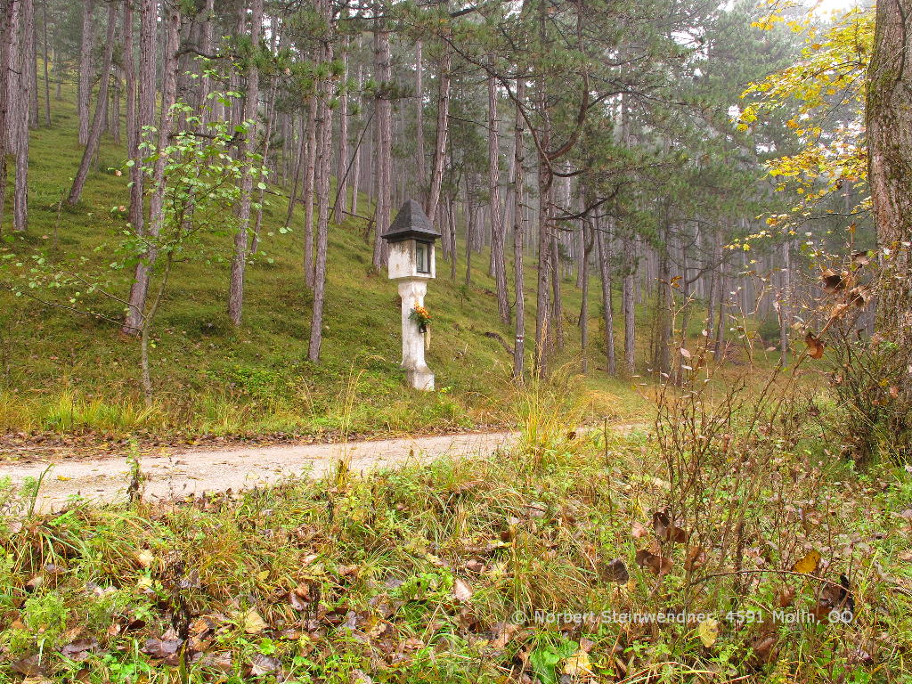 Weisses Kreuz im Grillenbergtal