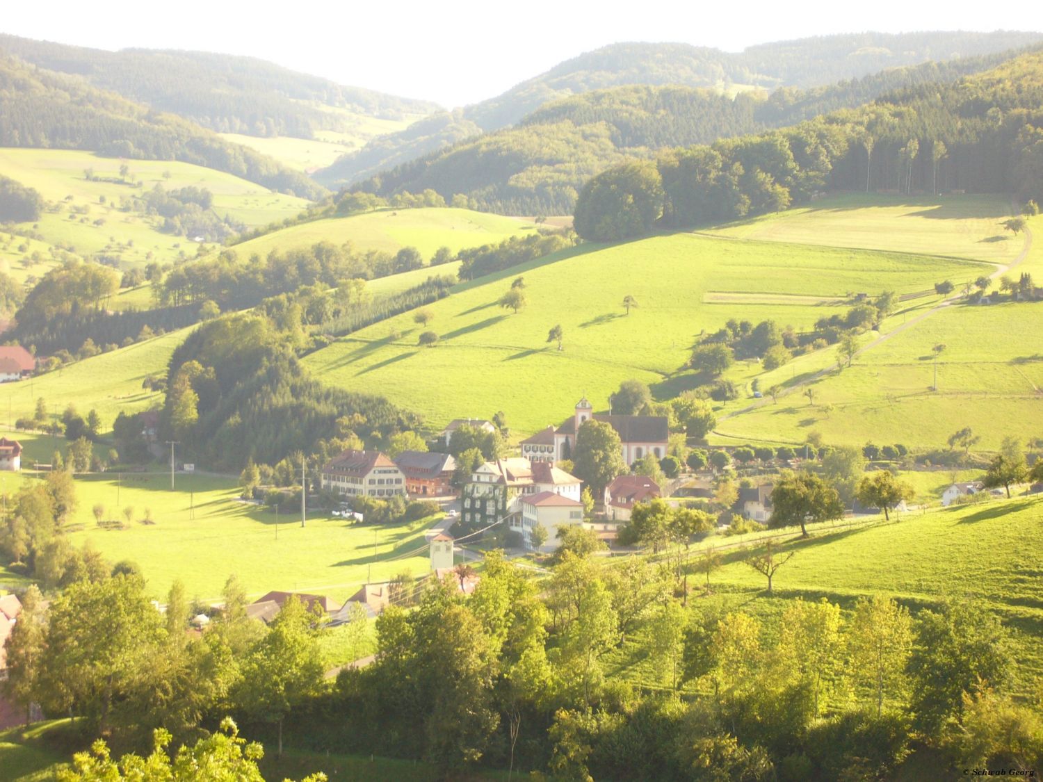 Welschensteinach Blick Richtung Geisberg-Mühlsbach