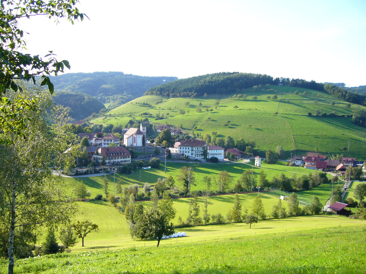 Welschensteinach Dorf