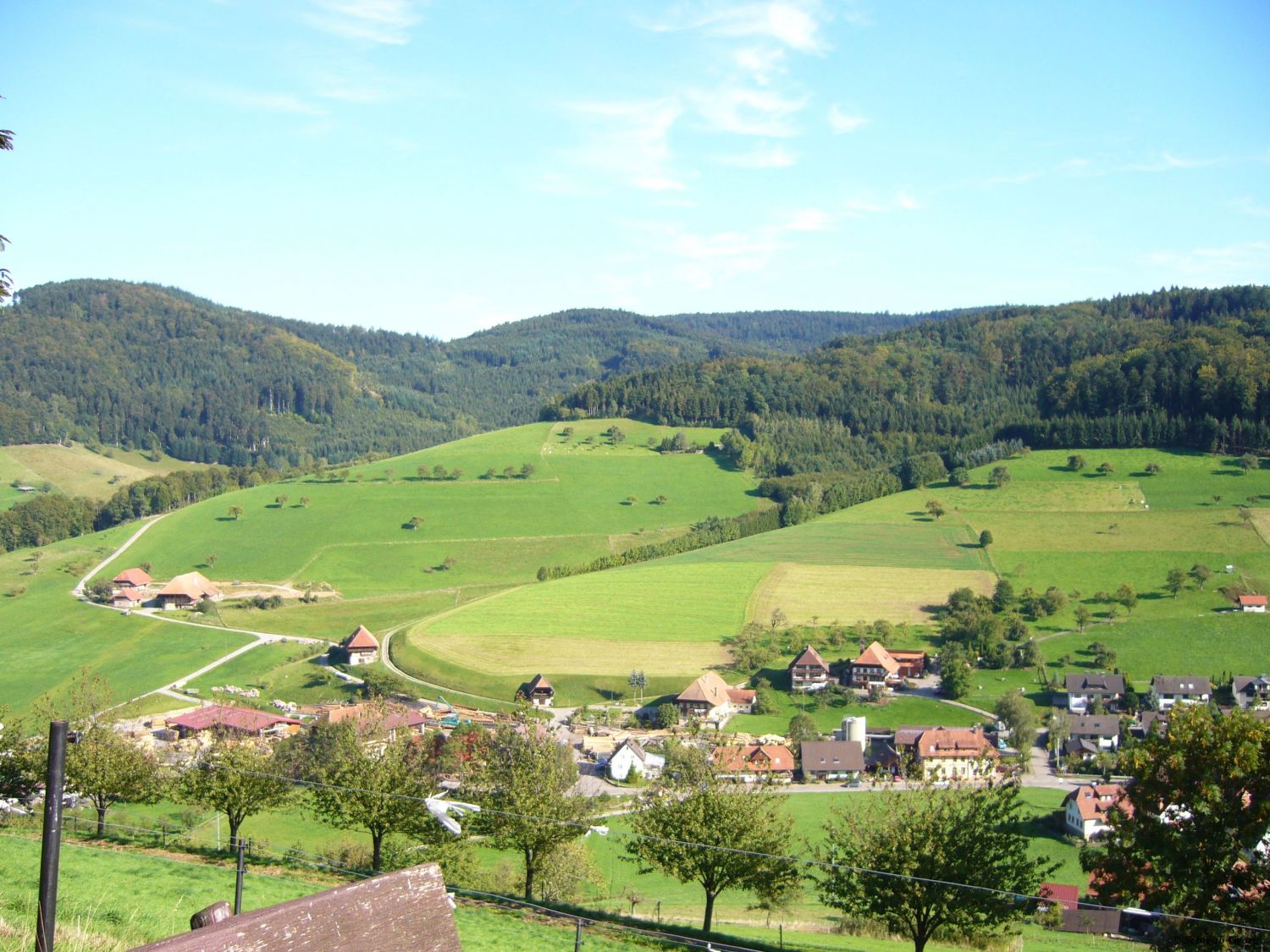 Welschensteinach - Wohngebiet Winterhalde