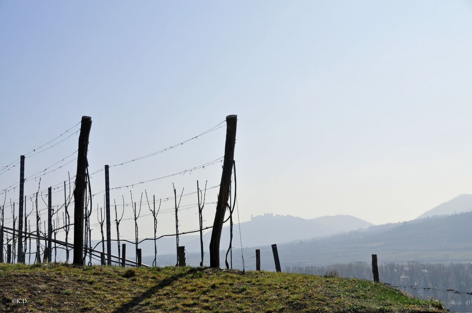 Weltkulturerbesteig Wachau - Loibn