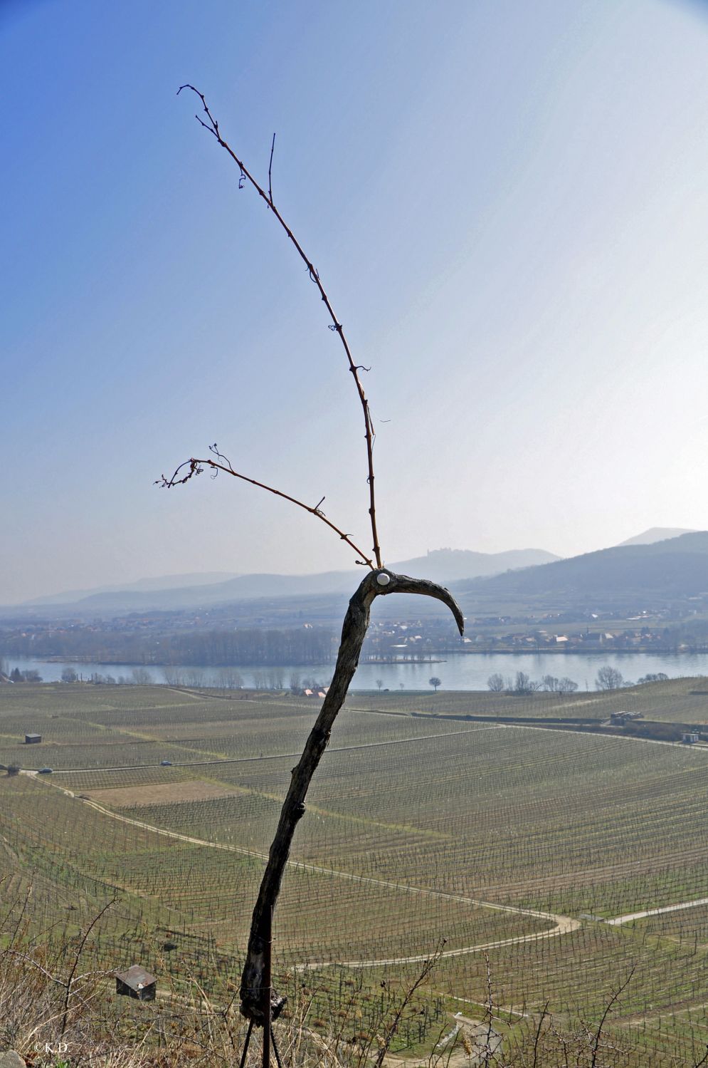 Weltkulturerbesteig Wachau - Loibn