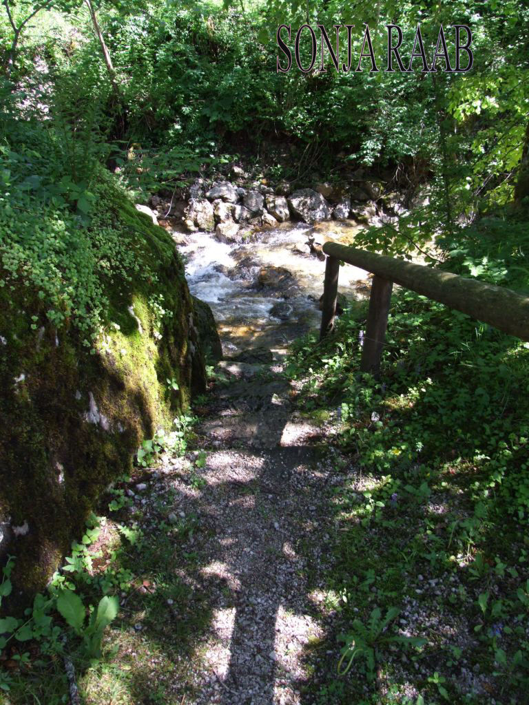 Wentsteinhammer in Hollenstein