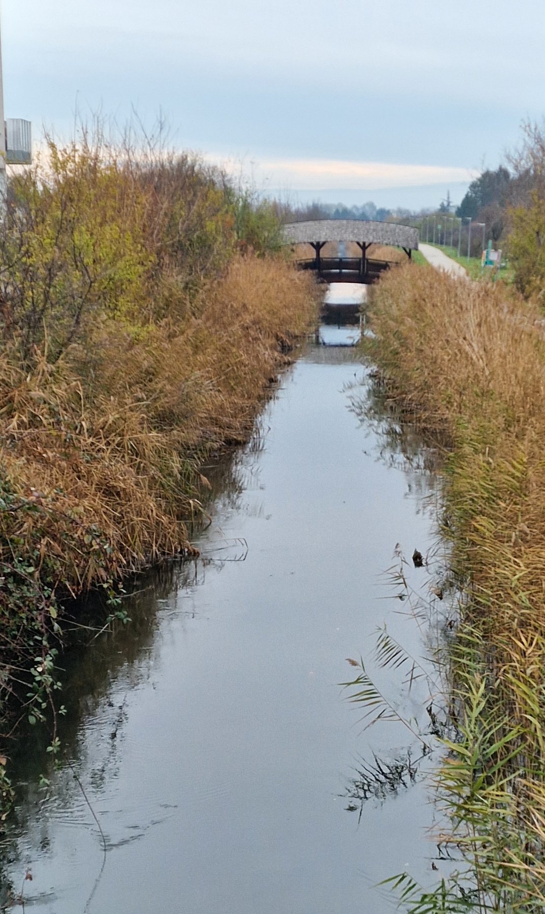 Wiener Neustädter Kanal bei Leobersdorf