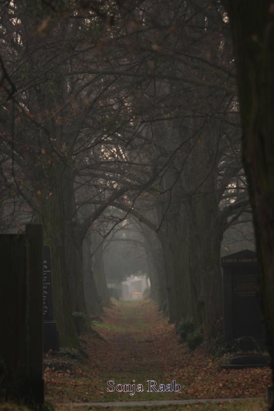 Wiener Zentralfriedhof