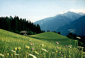 Wieserberg - Dellach im Gailtal