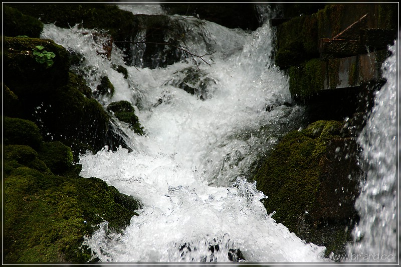 Wildwasser