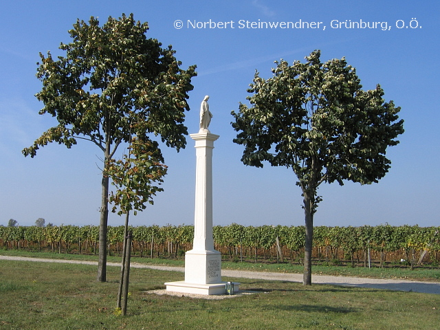 Wincklersäule (1)