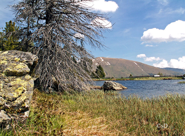 Windebensee