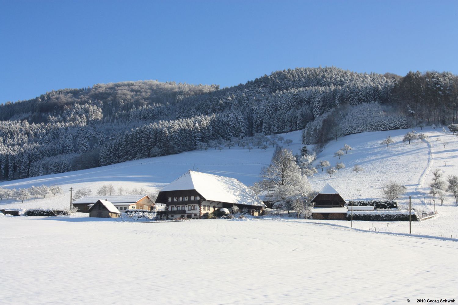 Winter im Schwarzwald