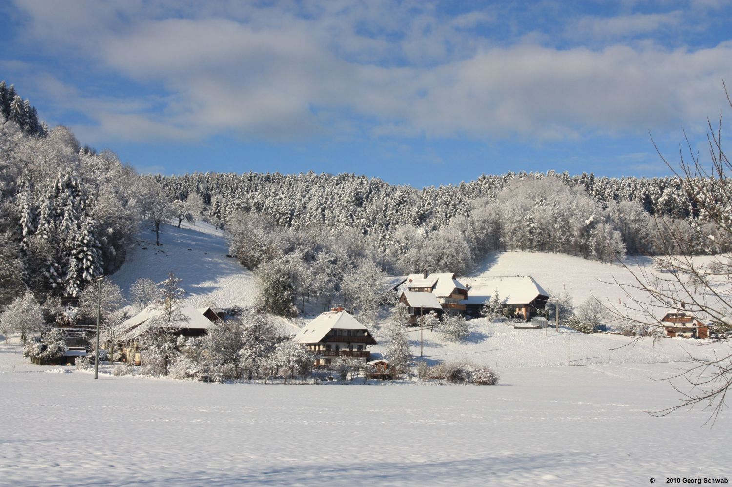 Winter im Schwarzwald