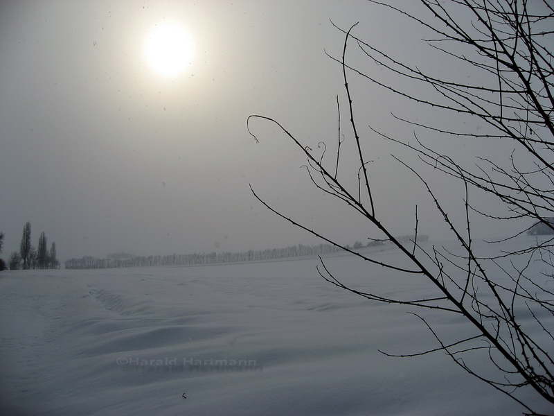 Winter im Weinviertel 1/2