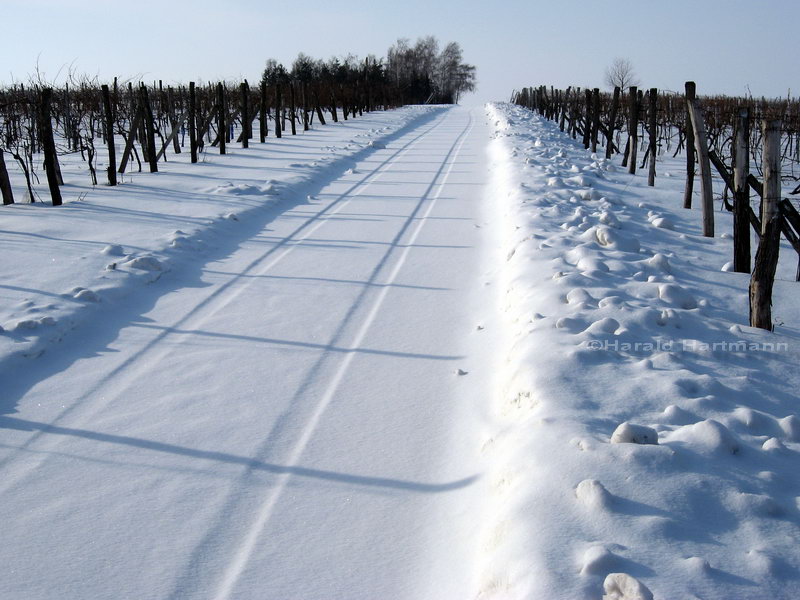 Winter im Weinviertel 2/2