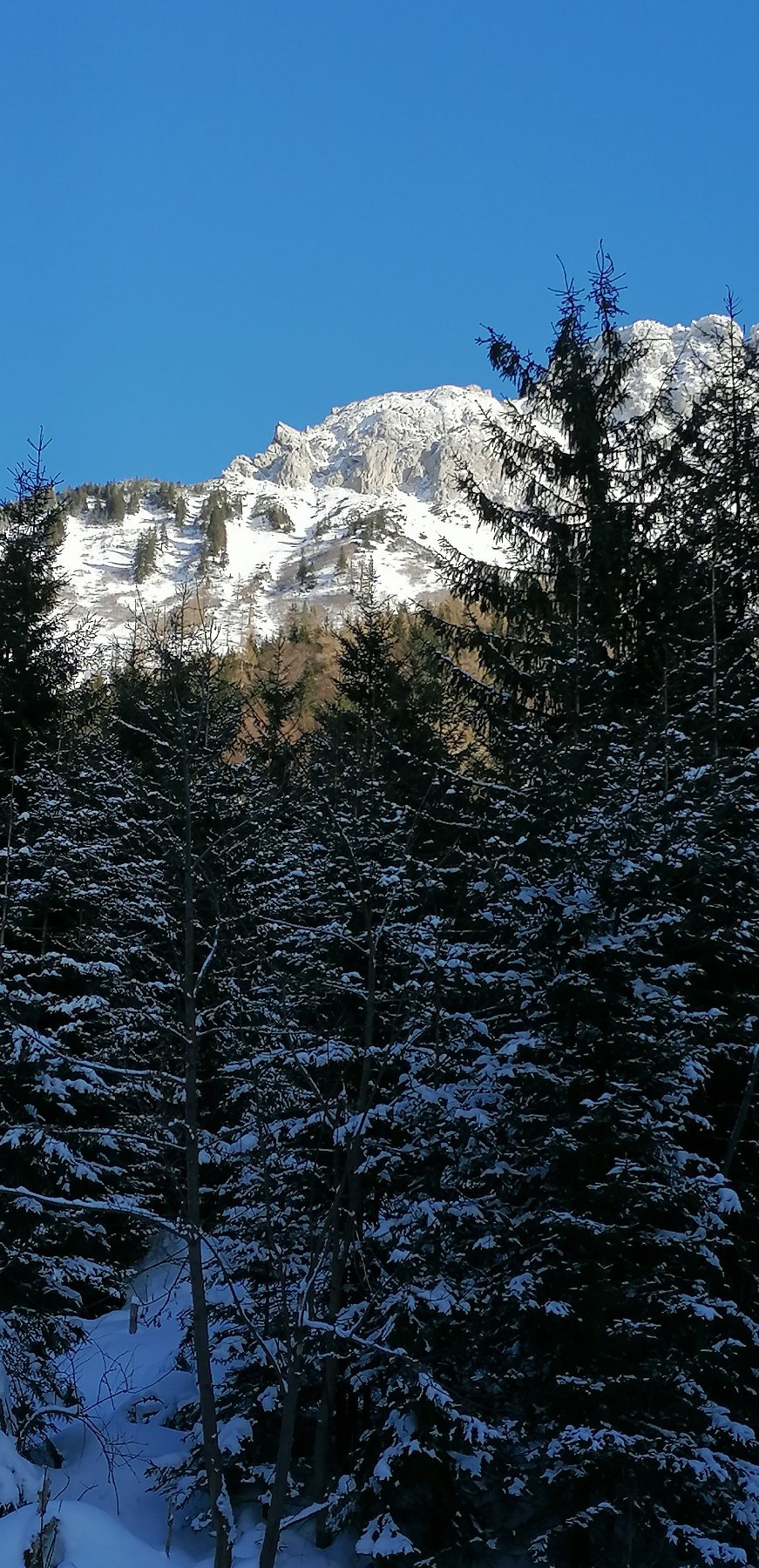 Winter im westlichen Hochschwabgebiet