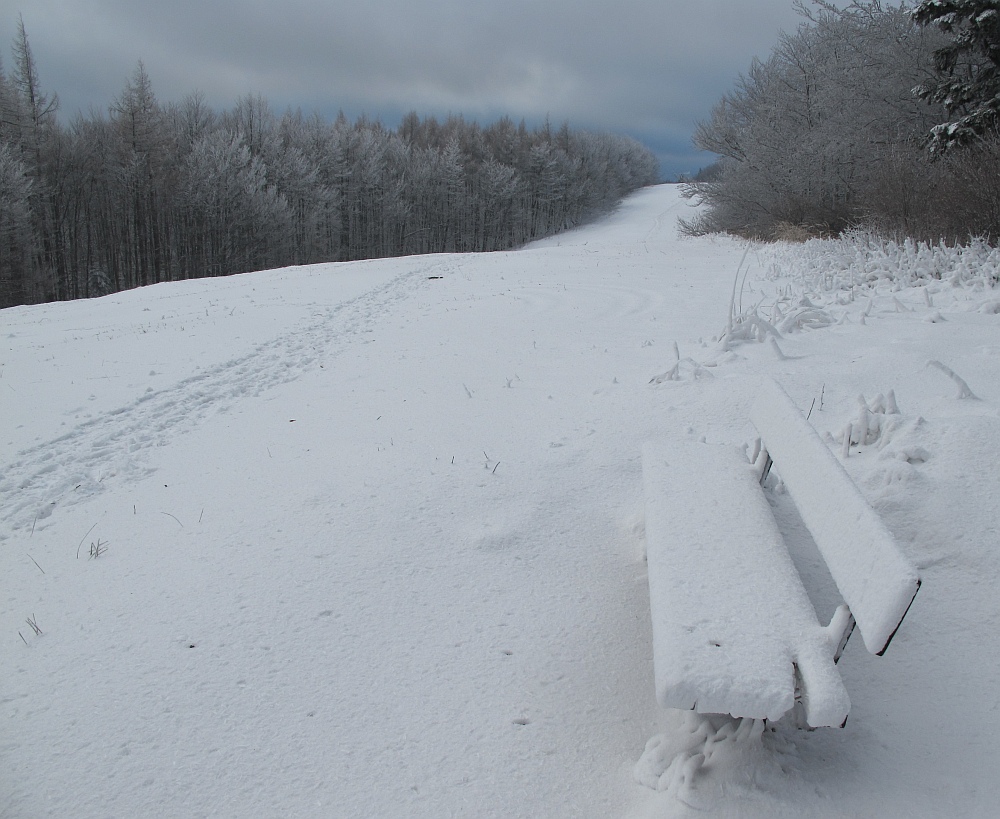 Winterlandschaft