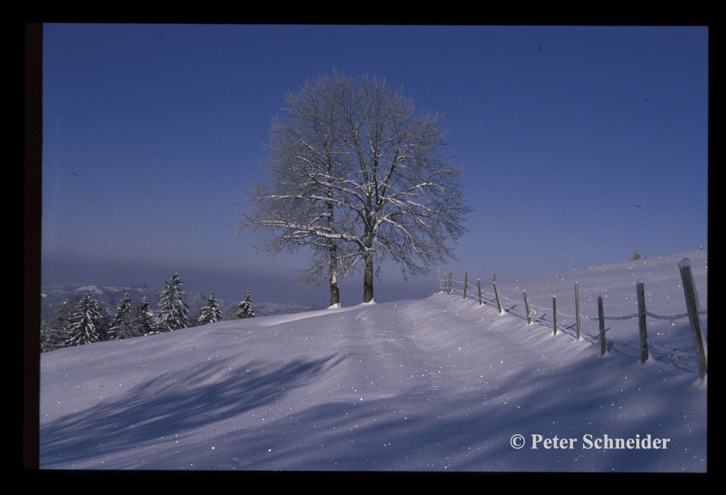 Winterlandschaft