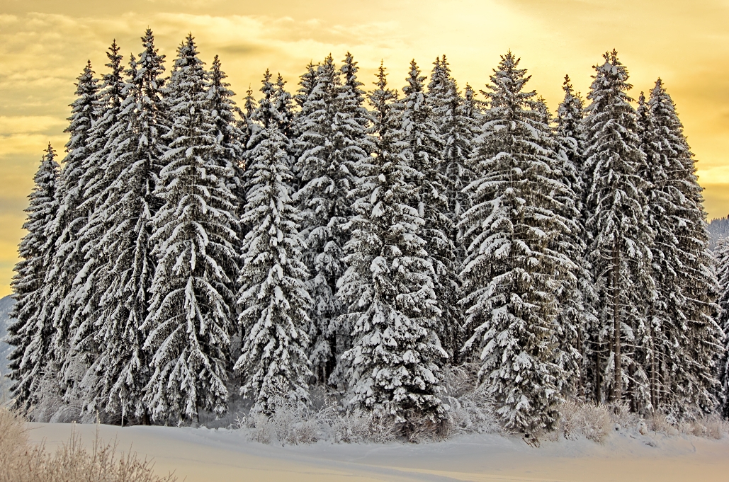 Wintermärchenwelt