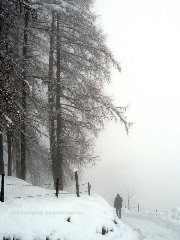 Winterspaziergang 1/3