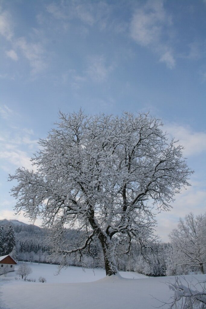 Winterzauber im Ybbstal