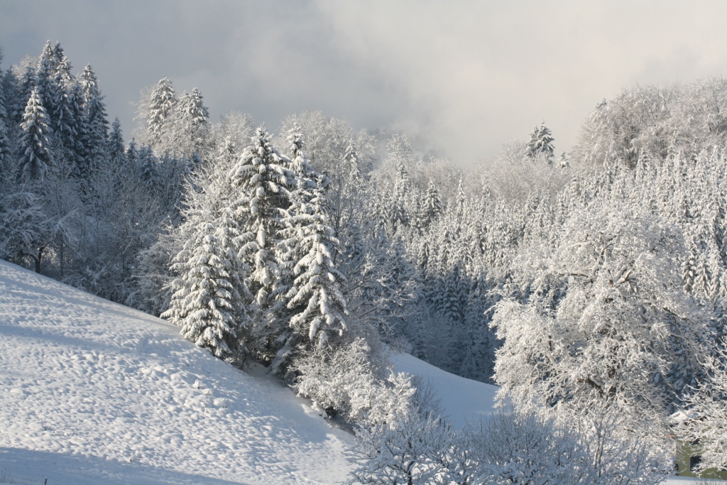 Winterzauber in Opponitz