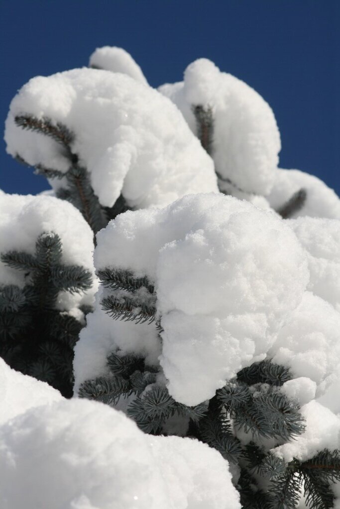 Winterzauber in Opponitz