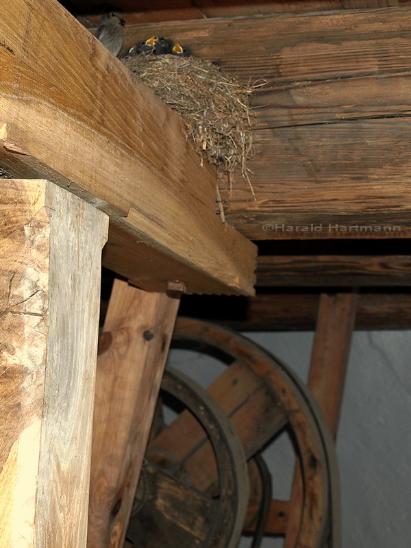 Wohnen in der Windmühle