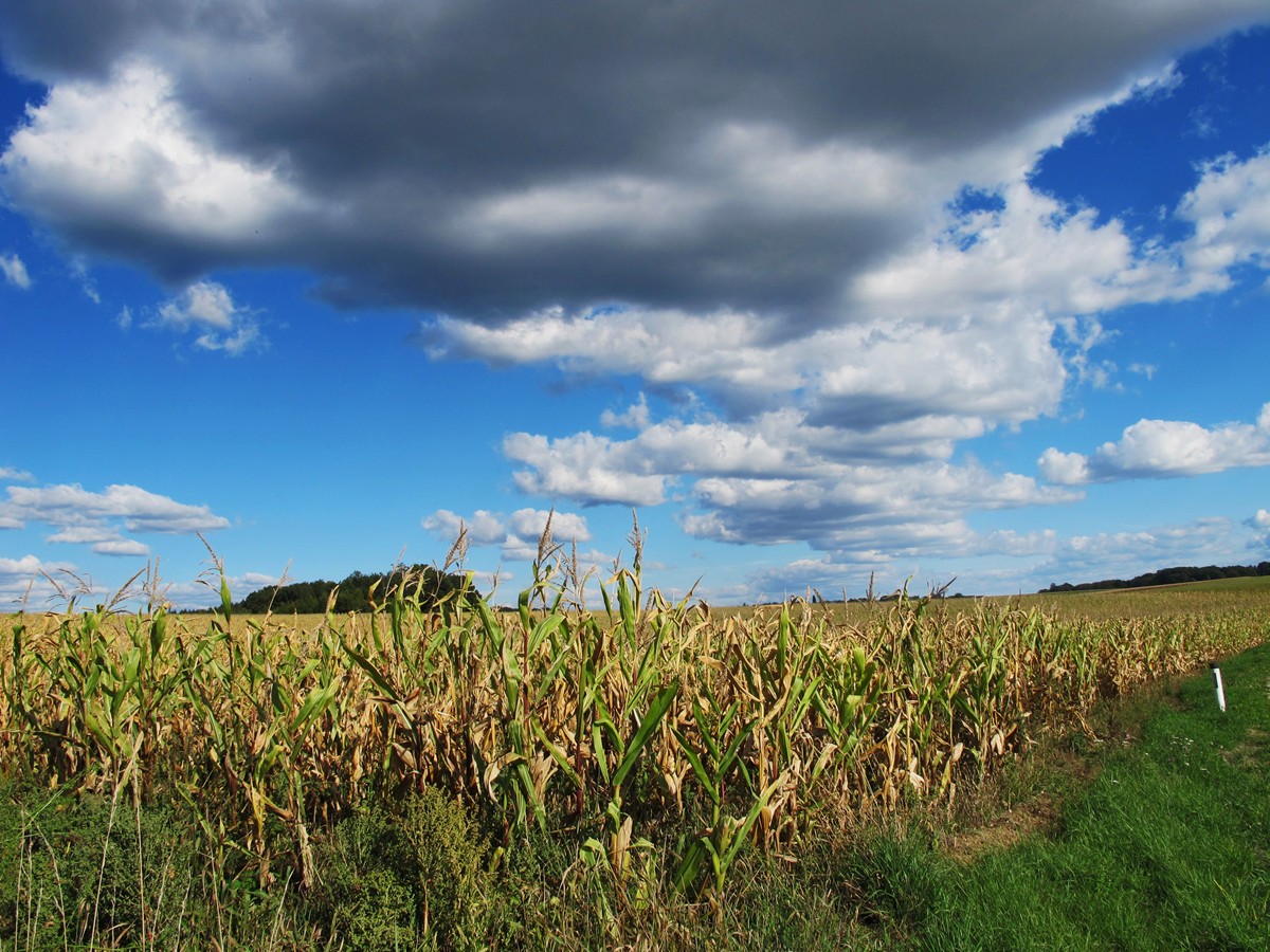 Wolken