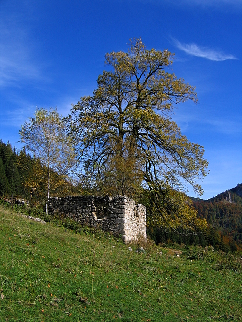 Zaglbaueralm