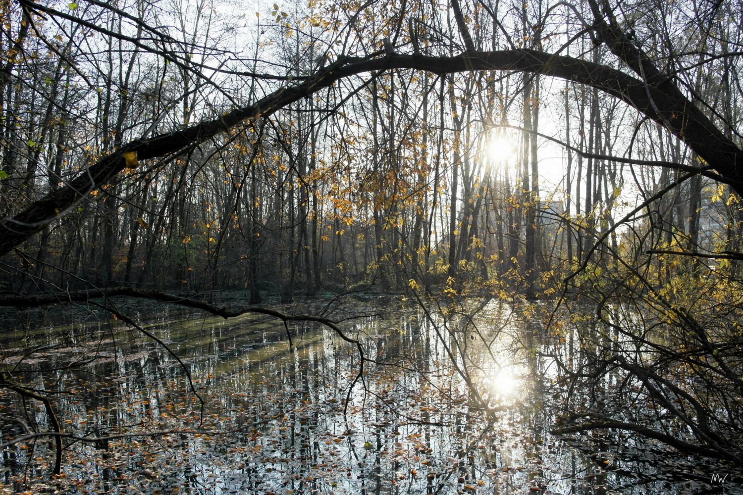 Ziegelteich, Blick Richtung Terassenhaussiedlung