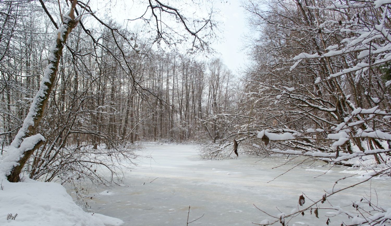 Ziegelteich im Winter 2