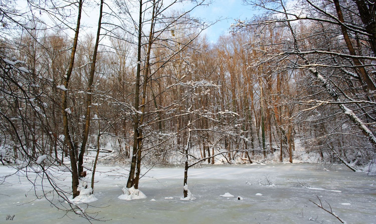 Ziegelteich im Winter