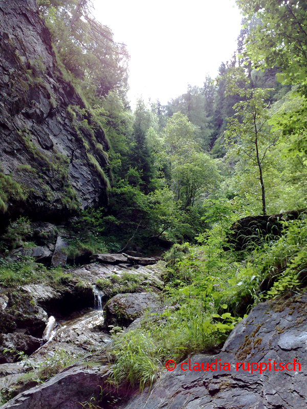 zirknitzschlucht im mölltal in kärnten